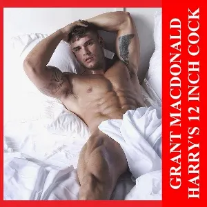 Pochette de Harry’s 12 Inch Cock de Grant MacDonald