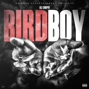 Pochette de BIRDBOY de NLE Choppa