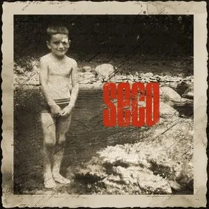 Pochette de SECO de Ricardo Arjona