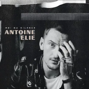 Pochette de Roi du silence de Antoine Elie