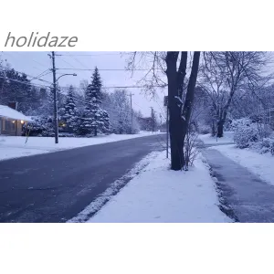 Pochette de Holidaze de Omnis