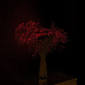 Pochette de practice 2022 de Jin Sangtae