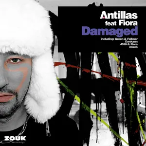 Pochette de Damaged de Fiora