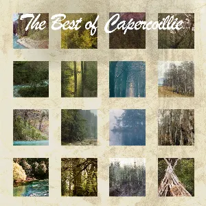 Pochette The Best Of Capercaillie