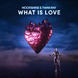 Pochette de What is Love de Moonshine