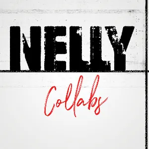 Pochette Nelly Collabs