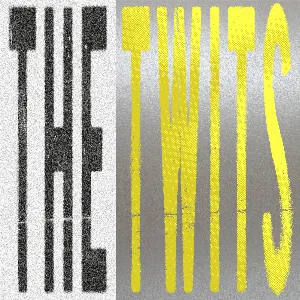 Pochette de The Twits de bar italia