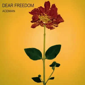 Pochette de DEAR FREEDOM de ACIDMAN