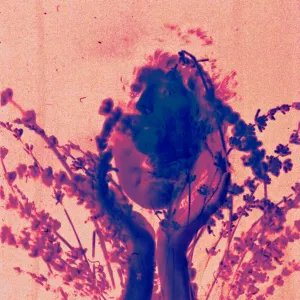 Pochette de salvador dali (frumhere remix) de Royal & the Serpent