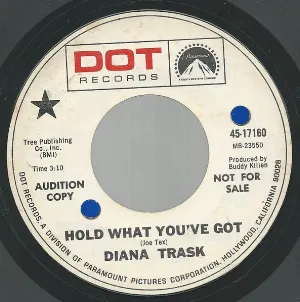 Pochette de Hold What You’ve Got de Diana Trask