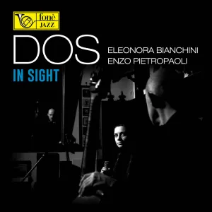 Pochette de DOS: In Sight de Enzo Pietropaoli
