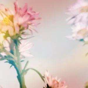 Pochette de シオン de Plastic Tree