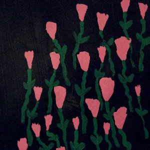 Pochette de FIRE OF LOVE de Dehd