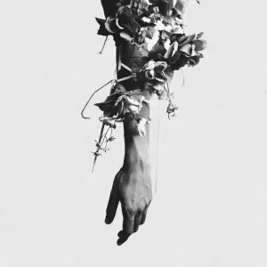 Pochette de The Flowers of Romance de mouse on the keys