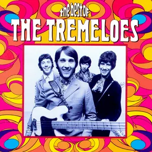 Pochette The Best of the Tremeloes