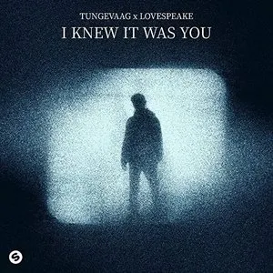 Pochette de I Knew It Was You de Tungevaag