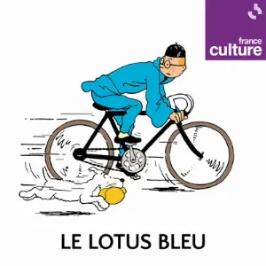 Pochette Les Aventures de Tintin : Le Lotus bleu