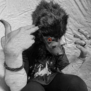 Pochette de Paranoid de Venjent