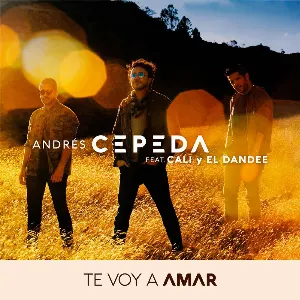 Pochette de Te voy a amar de Andrés Cepeda