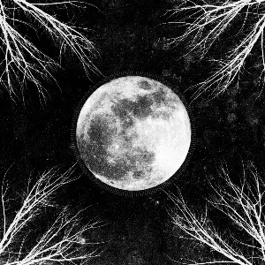 Pochette de PaleMoon de Corpus Christii