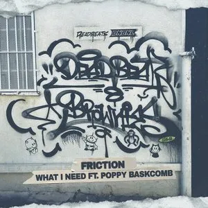 Pochette de What I Need de Friction
