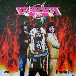 Pochette de From the Fire de The Stampeders