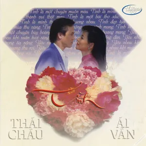 Pochette de Tình de Ái Vân