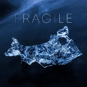 Pochette de Fragile de Sebastian Bach