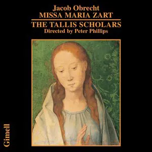 Pochette de Missa Maria zart de The Tallis Scholars - Jacob Obrecht - Peter Phillips
