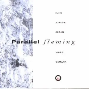 Pochette de Parallel Flaming de Vidna Obmana