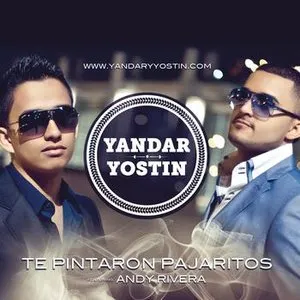 Pochette de Te pintaron pajaritos de Andy Rivera
