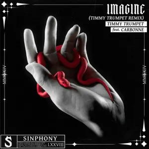 Pochette de Imagine [Timmy Trumpet] de Timmy Trumpet