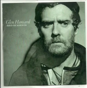 Pochette de Bird of Sorrow de Glen Hansard