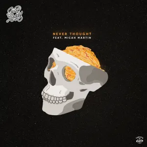 Pochette de Never Thought de Micah Martin