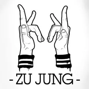 Pochette de Zu jung de Kraftklub