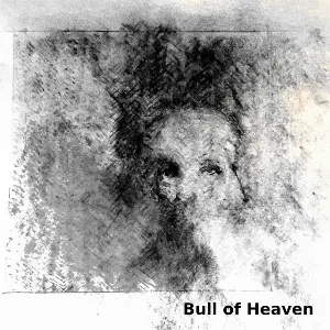 Pochette de Driftwood and Bone de Bull of Heaven