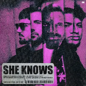 Pochette de She Knows (with Akon) [3 Are Legend X Mandy remix] de Dimitri Vegas - David Guetta - Afro Bros