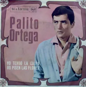 Pochette de Yo tengo la culpa de Palito Ortega