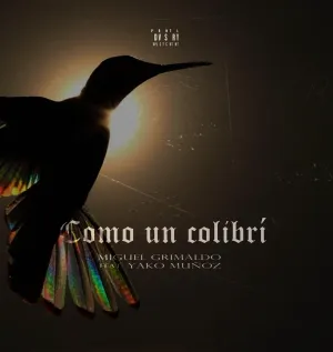 Pochette de Como un colibrí de Yako Muñoz