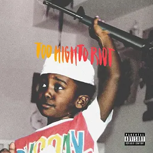 Pochette de Too High to Riot de Bas