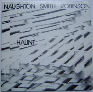 Pochette de The Haunt de Wadada Leo Smith