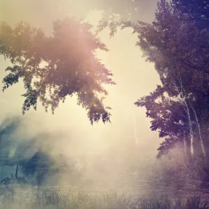 Pochette de Violante (Lost in a Dream) de Purl