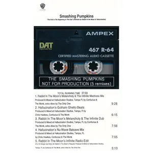 Pochette de The End Is the Beginning Is the End (remixes by Rabbit in the Moon & Hallucination) de The Smashing Pumpkins