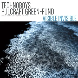 Pochette de VISIBLE INVISIBLE de TECHNOBOYS PULCRAFT GREEN-FUND