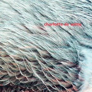 Pochette de Vision de Charlotte de Witte