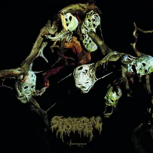 Pochette de Sinew Censer de Spectral Voice