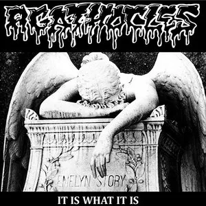 Pochette de It Is What It Is de Agathocles