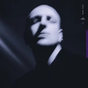 Pochette de In Daytona Yellow de Leon Vynehall