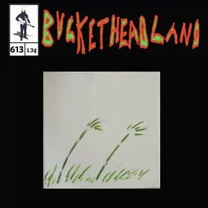 Pochette de The Universe Is Your Friend de Buckethead