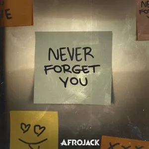 Pochette de Never Forget You de Afrojack
